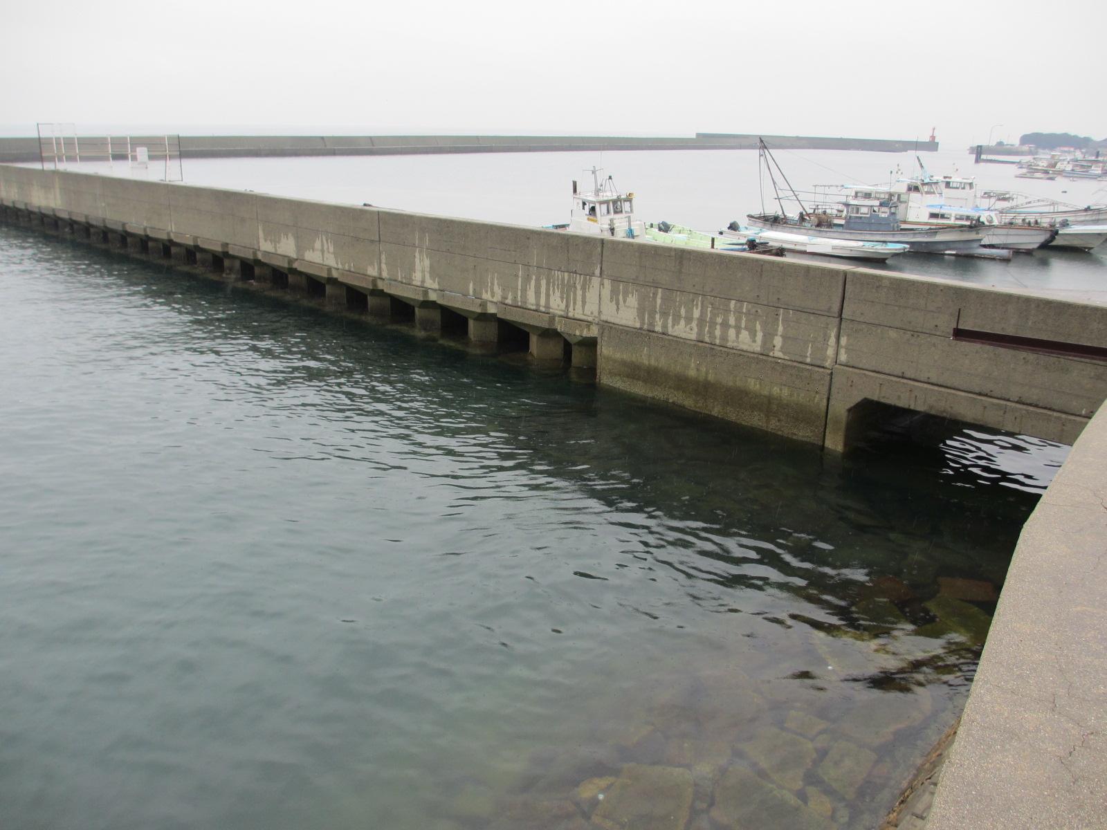 箱崎漁港の釣りポイント